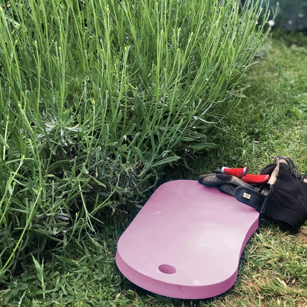 Bosmere Garden Kneeling Mat, Pink, G117