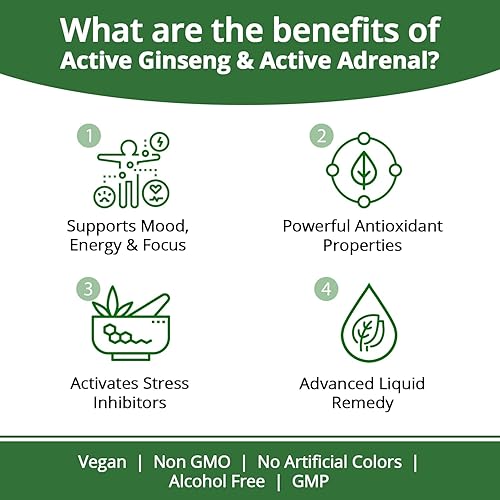 Miniatura 2 de Rejuvica Health Paquete de energía definitiva: ginseng activo y suprarrenal activo. Aumenta tus niveles de energía con ginseng, rodiola,