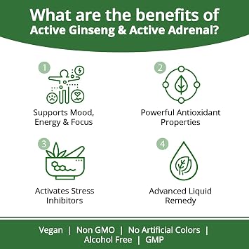 Rejuvica Health Ultimate Energy Bundle - Active Ginseng & Active Adrenal - Supercharge Your Energy Levels with Ginseng, Rhodiola, Ashwagandha, Holy Basil & More!