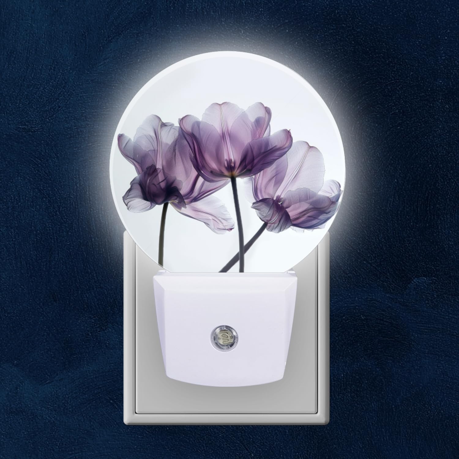 Round LED Night Lights Lamp with Dusk to Dawn Sensor Purple Tulips Made from Sheer Against White Background