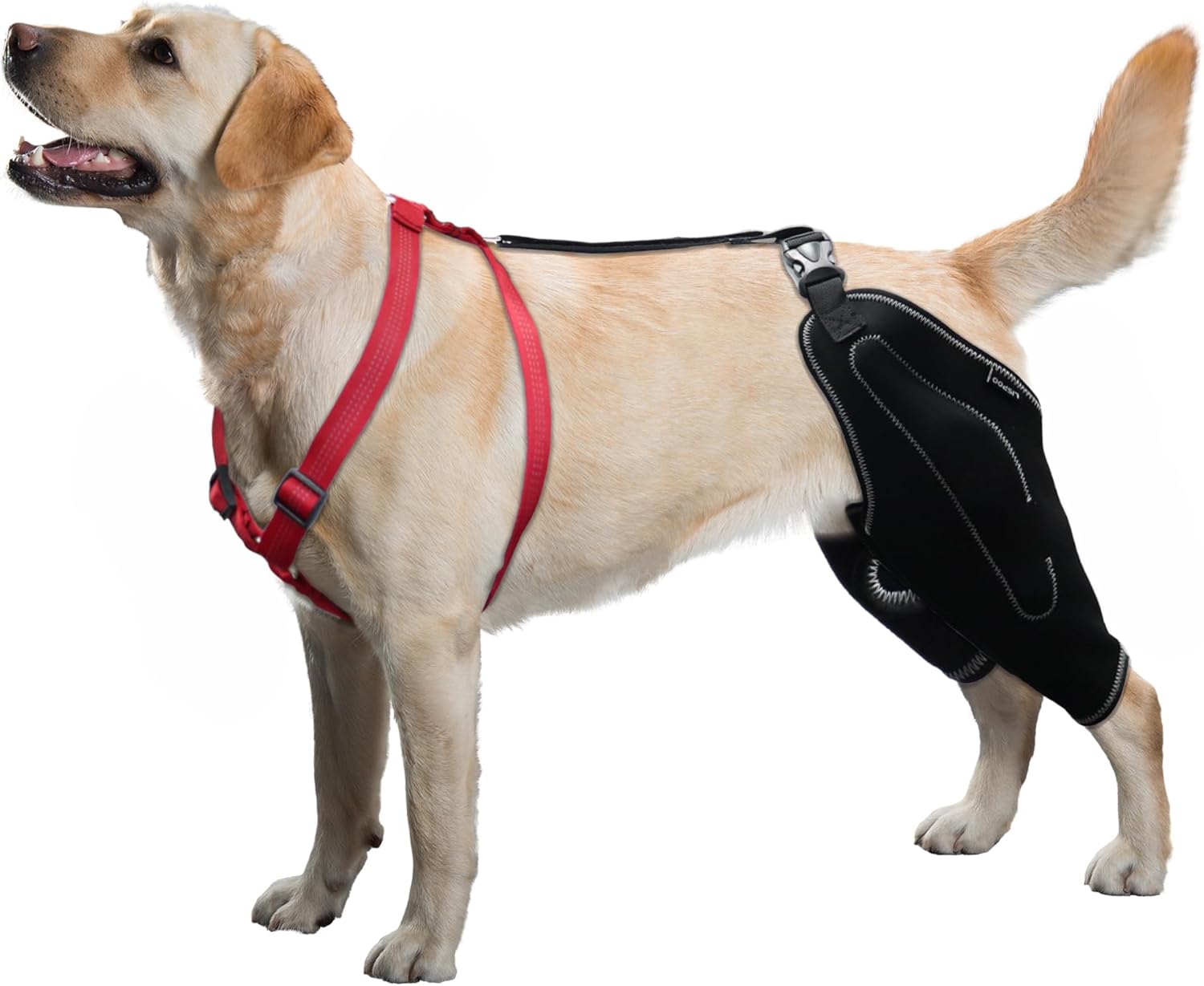 LISPOO Dog Acl Knee Brace for Torn Acl Hind Leg,Luxating