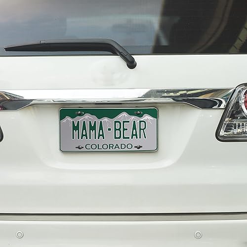 Miniatura 6 de Placa de matrícula personalizada del estado de 12 x 6  50 Estados  Placa de matrícula personalizada del estado de Pensilvania con tu nombre, texto