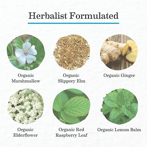 Miniatura 2 de Earth Mama Té orgánico Throat Soothie con flor de saúco  Apoyo inmunológico formulado sin regaliz  Seguro para niños y durante el embarazo, 16
