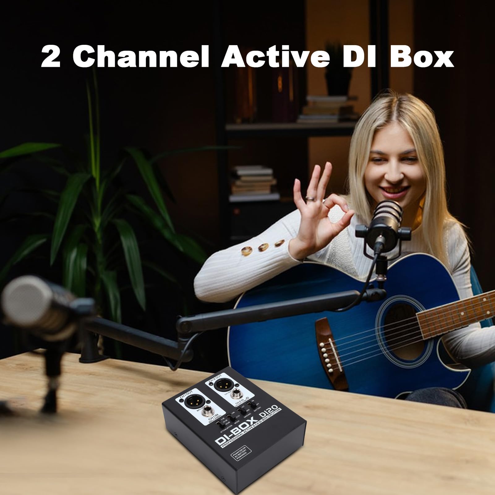 Caja DI Activa de 2 Canales, Caja de Audio Profesional de Inyección Directa Adaptador TRS a XLR con Aislador de Señal con Caja Metálica Soporta hasta 3000W para Equipos