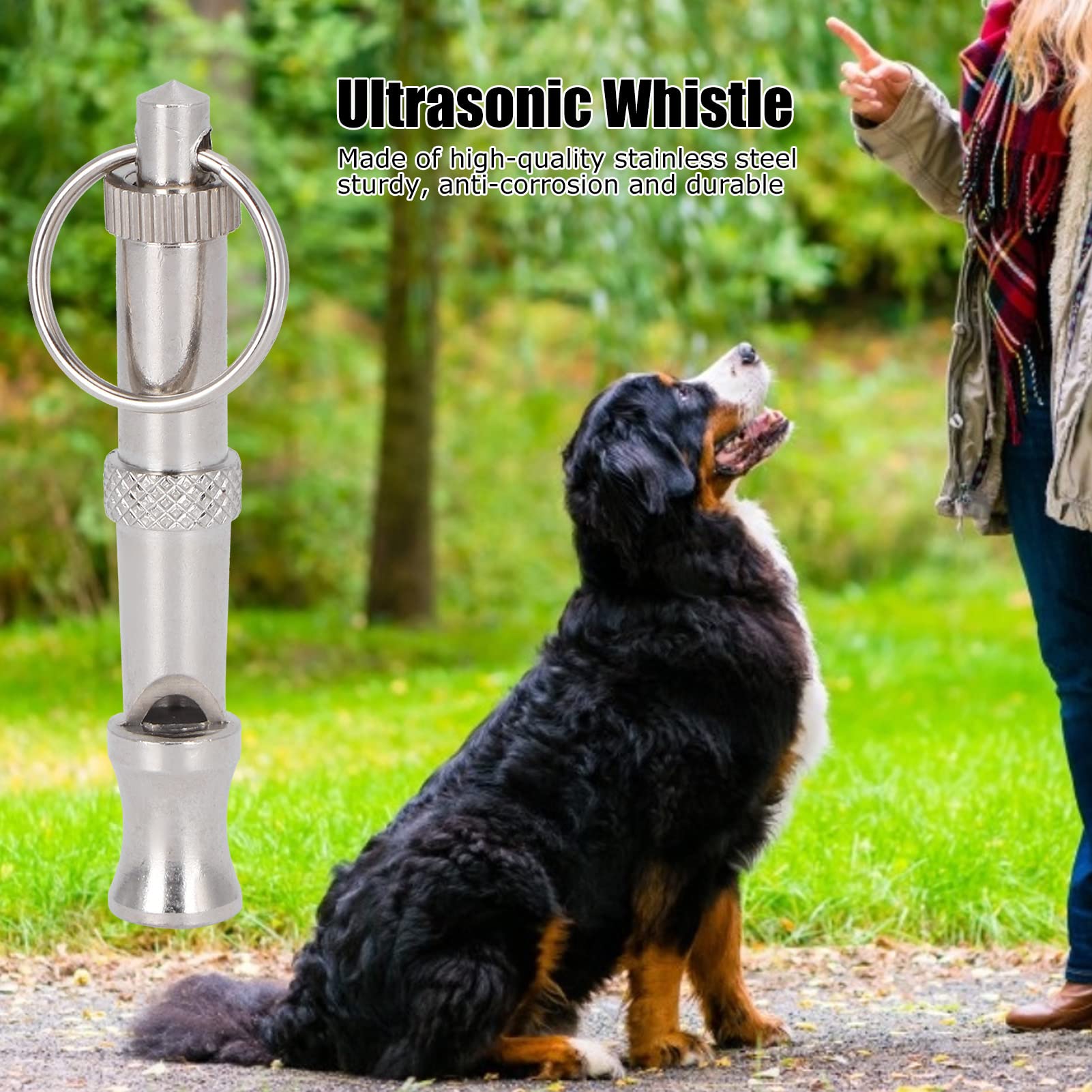 2pcs Stainless Steel Ultrasonic Whistle, Portable Training Tool for Dog, Pigeons, and Birds