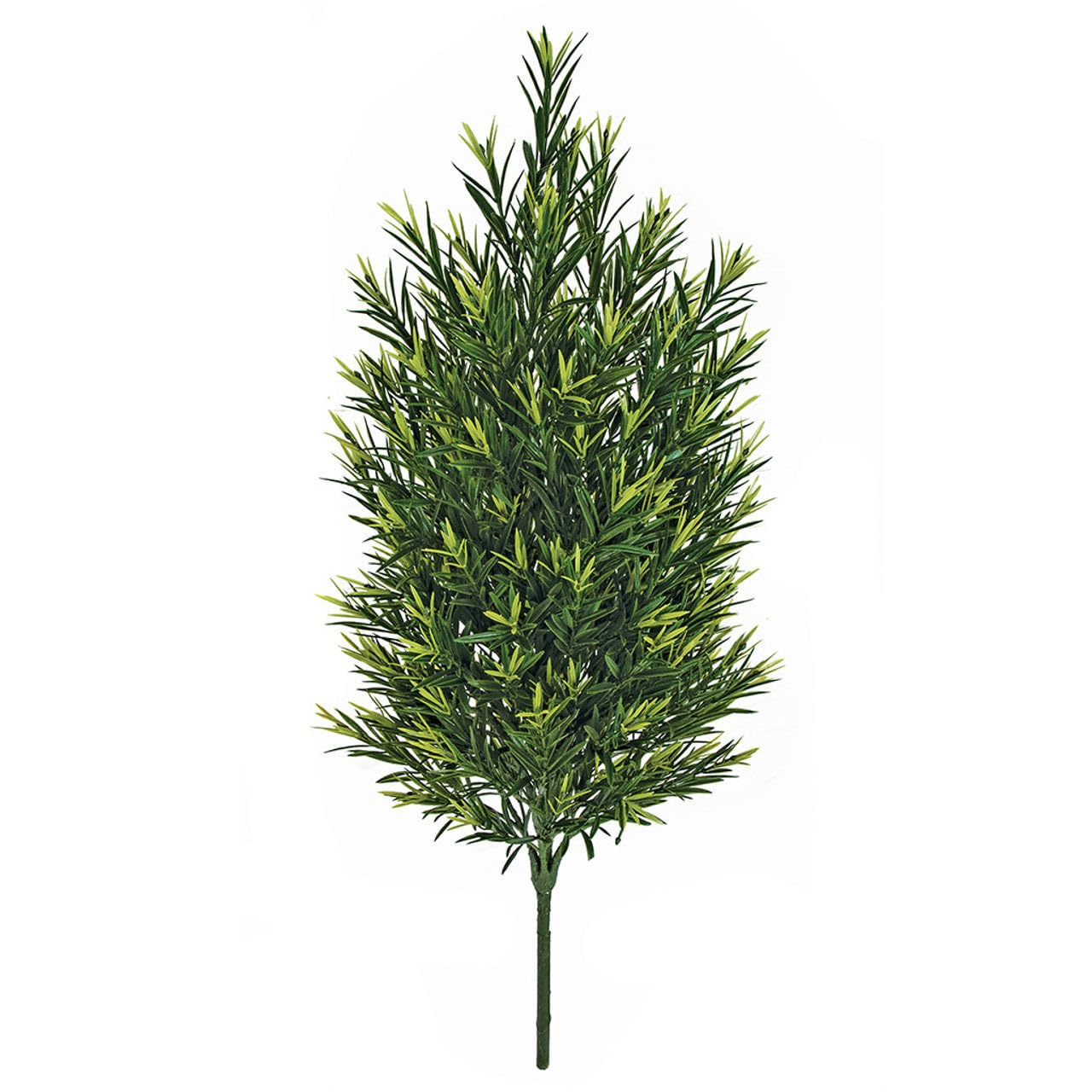 SilksAreForever 4'10