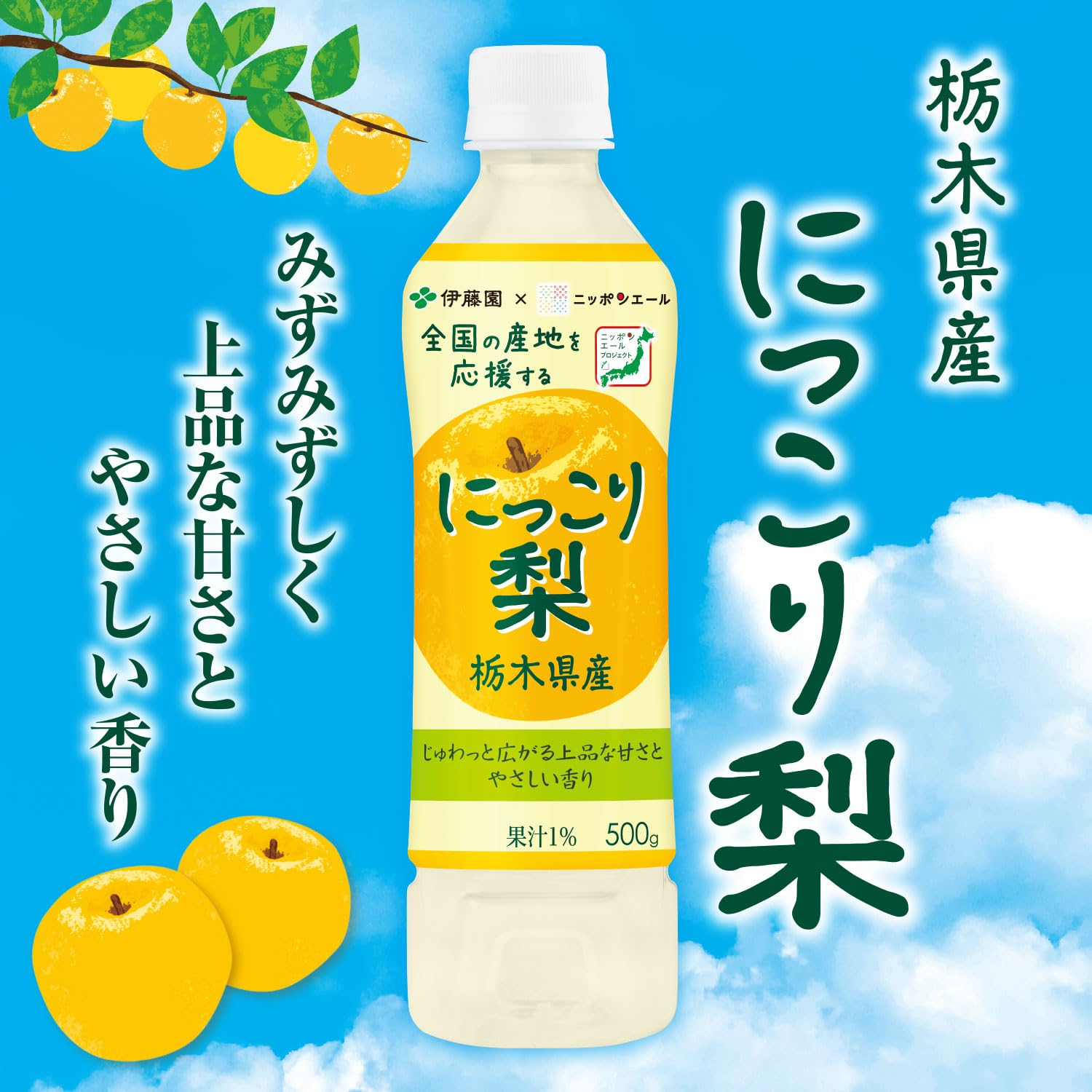 Amazon.co.jp: 伊藤園 にっこり梨 栃木県産 500g×24本 ニッポンエール