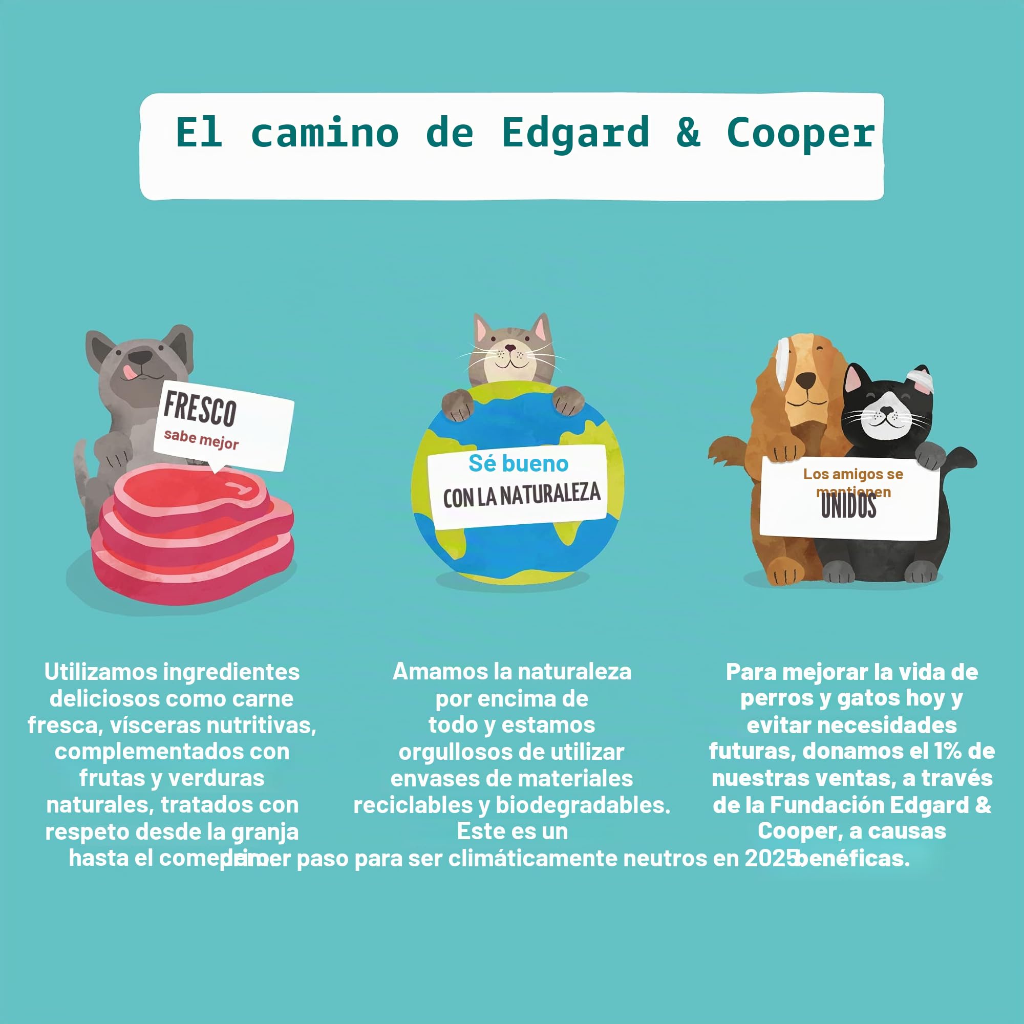 Edgard & Cooper - Comida húmeda para Perros (salmón y Pavo, 400 g x 6), sin Cereales, Ingredientes Naturales y Carne Fresca, Llena de aminoácidos Esenciales