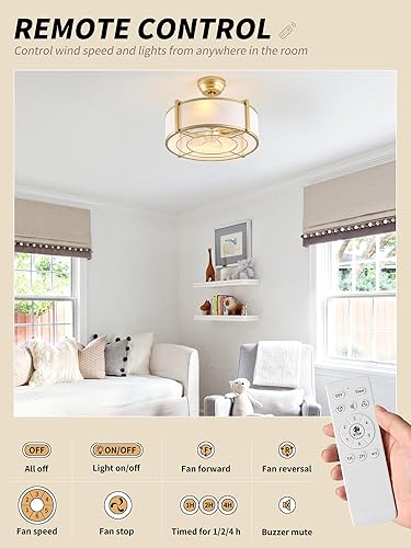 Miniatura 2 de Ventiladores de techo enjaulados de 20 pulgadas con luces, ventilador de techo dorado con luz, ventilador de araña bohemio, control remoto, 6