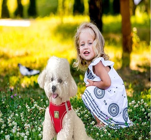 Miniatura 2 de Juego de arnés y correa para perros pequeños, sin tirones, arnés para cachorros y gatos, a prueba de escape, chaleco de malla transpirable, arnés