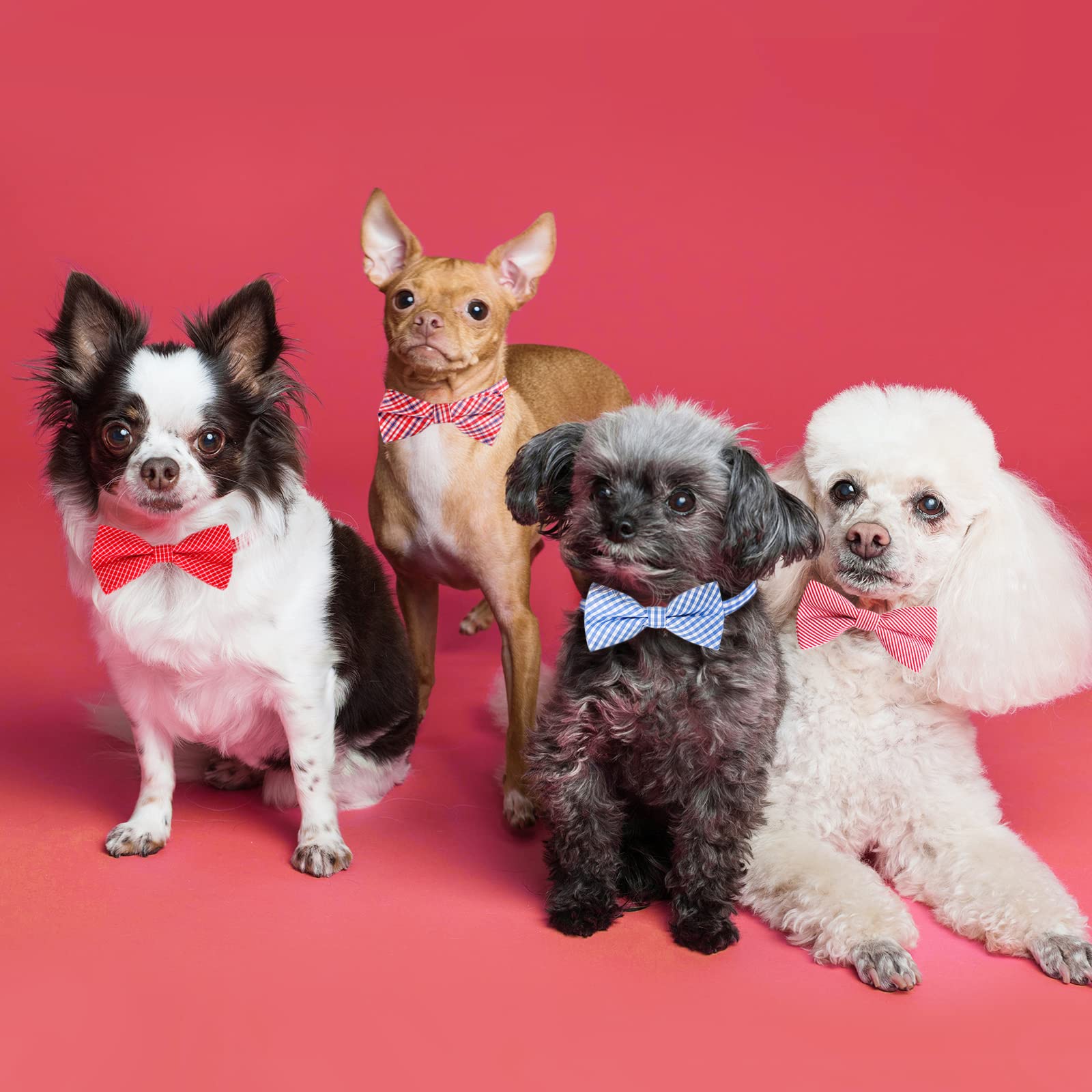 Segarty Hunde-Fliege, 30 Stück, Fliegen, Hundehalsband, Katzenhalsband, Großpackung, Urlaub, Fellpflege, Schleifen für Haustiere, Welpen, Fotografie, Geschenk, kariert und niedlich gemustert