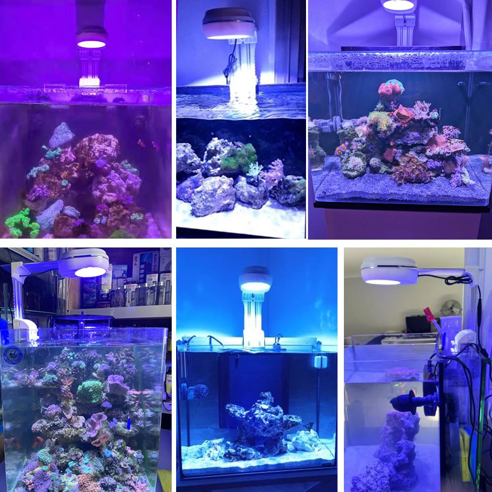 PopBloom RL60 60W Luces LED para acuarios marinos, Luces LED para peceras Acuarios de coral Acuarios marinos de sal Pantallas Acuario 50cm (RL60 Blanco)