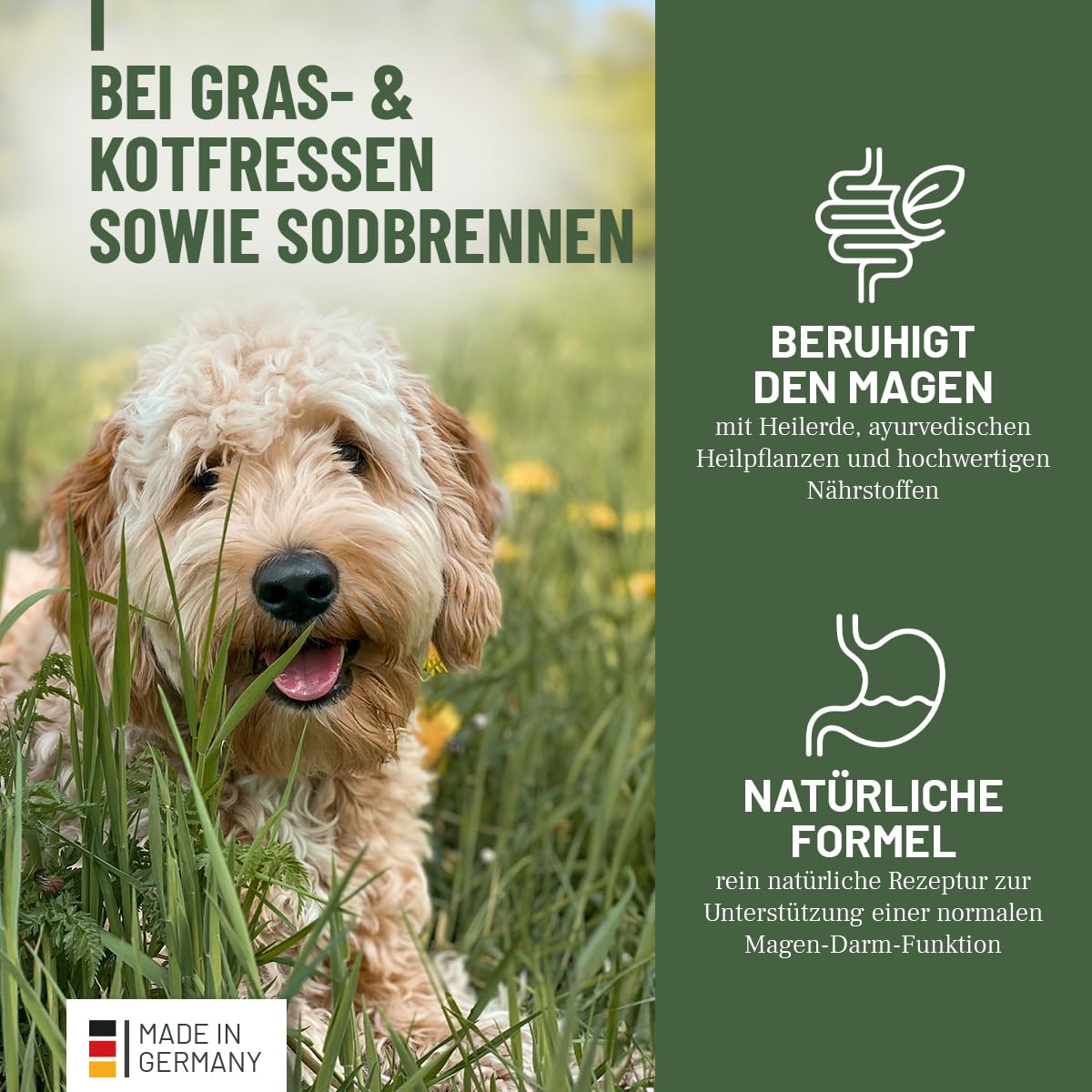 ReaVET Gras & Kotfresser Drops für Hunde – bei Fressen von Gras & KOT – beruhigt den Magen & reduziert Sodbrennen – Grasfresser Drops mit Heilerde, Ayurvedische Heilpflanze I 350g (180 Stück)