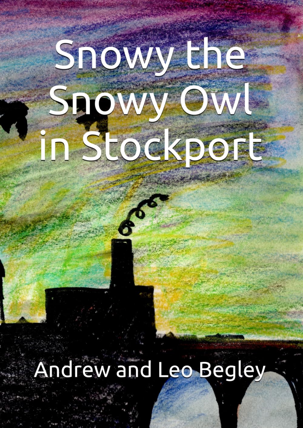 Snowy the Snowy Owl in Stockport