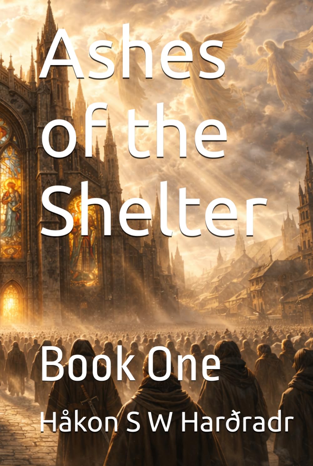 Ashes of the Shelter: Book One (The Holy Paladin Trilogy)