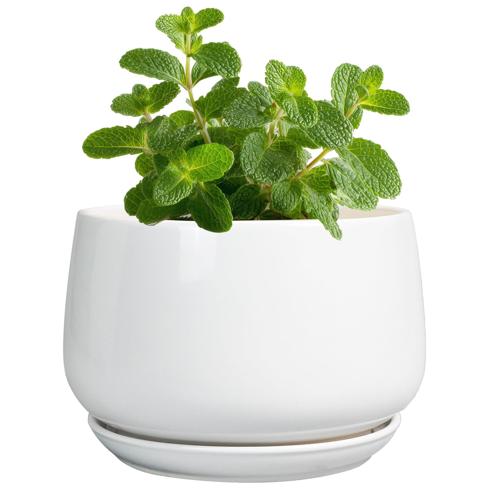 Photo 1 of G EPGardening Ceramic Plants Pots - 4 inch Succulent Pots for Indoor Outdoor, Small Planter with Drainage Hole & Saucer, Round Planter, Modern Flower Pot, Office Decor, Plant Lovers Gifts, White