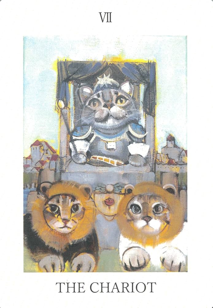 Amazon.co.jp: ねこタロット ｜ カード全22枚 日本語キーワード