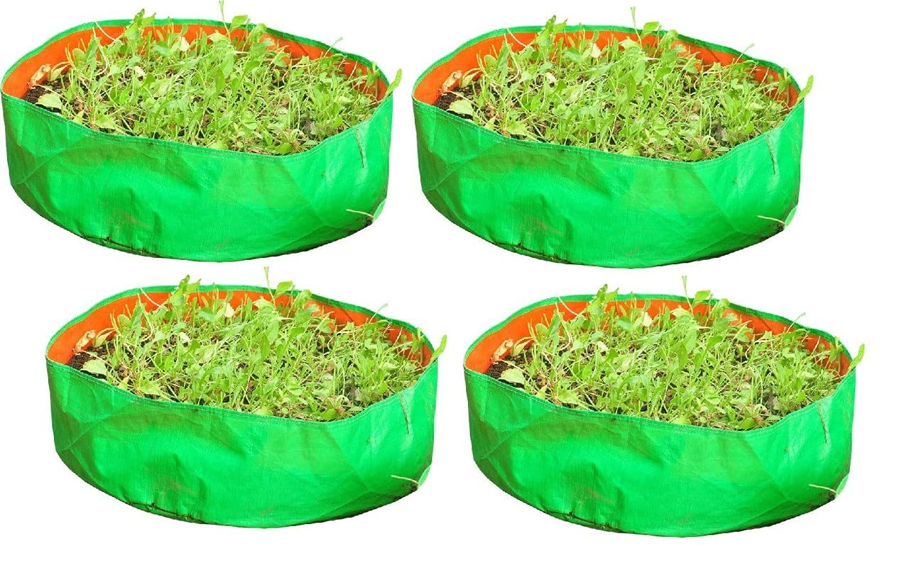 YUVAGREEN Terrace Gardening Leafy Vegetable Polyethylene Grow Bag (Green, 15"x9") - Pack of 4 (B0752LDN87) Amazon Price History, Amazon Price Tracker