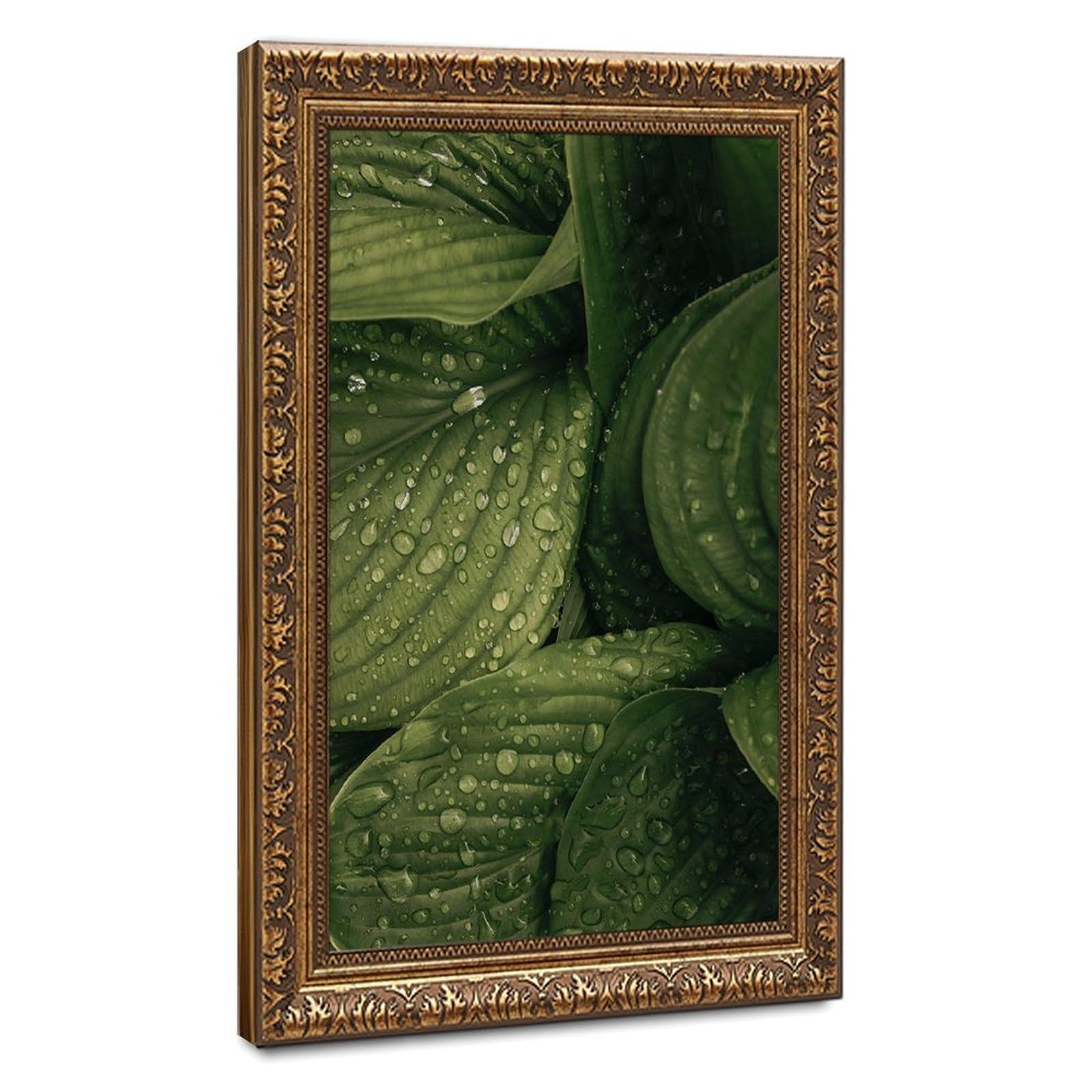 Bareronor Raindrops Botanical Canvas Poster Bedroom Decor Landscape Office Room Decor Gift 24" L X 36" W