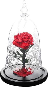 Enchanted Real Preserved Rose in 11-inch Beauty and the Beast Prop Glass Dome, Fresh-Cut Eternity Flowers that Last Years, Wedding Valentines Day Gift for Her