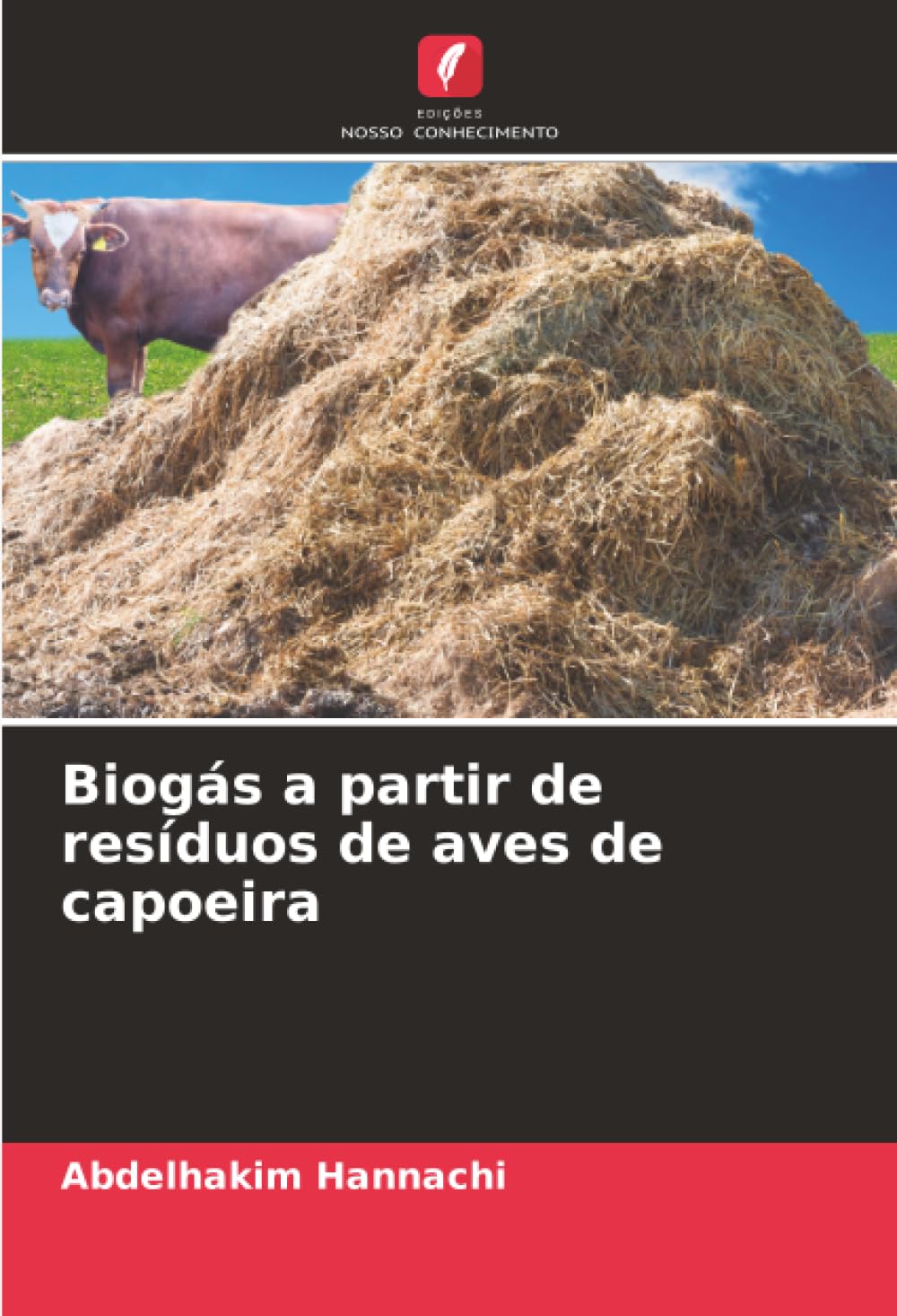 Biogás a partir de resíduos de aves de capoeira