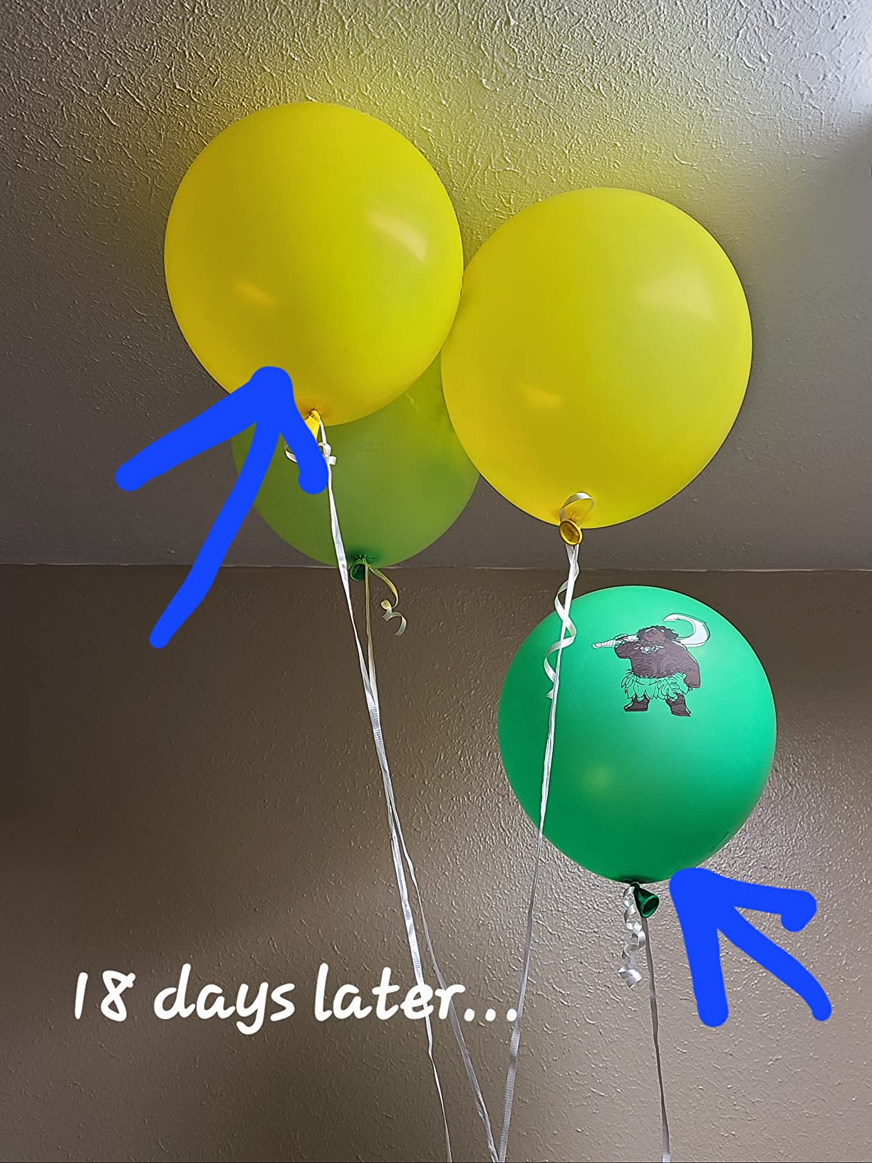 2/mo Finance LA Balloons HiFloat Solution, 5 oz, Transparent Buy