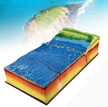 44cm Seabed Topography Model, Geography Teaching Model, School Geology Class Teaching Demonstration for Geography Teaching Learning Aids Tool
