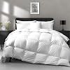 APSMILE Lightweight Down Feather Fibers Comforter Queen Size - Cooling Bed Comforter, Hotel Collection High Fill-Power Thin Duvet Insert for Warm WeatherHot Sleepers, 90x90, White