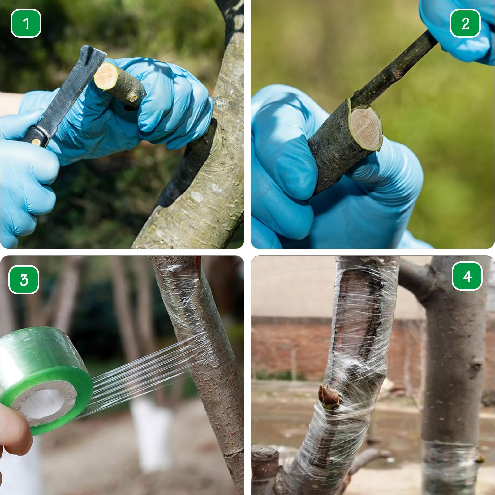 Nastro Per Innesti Trasparente | 2 Rotoli Da 100m | Autoadesivo E Biodegradabile - Foto 3