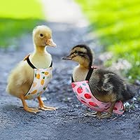 Vista 4 de 6 piezas de pañales para pollos para gallinas, gallos, patos reutilizables lavables con lazada para patitos, gallinas, gansos, aves ajustables