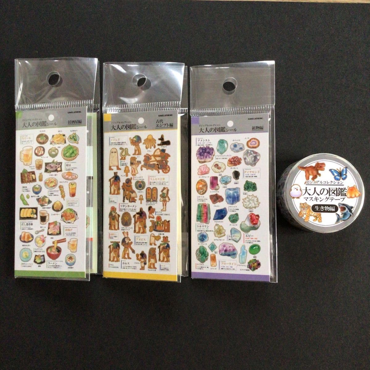 Kamio Japan(カミオジャパン) 大人の図鑑ミニチュアマスキングテープ 4