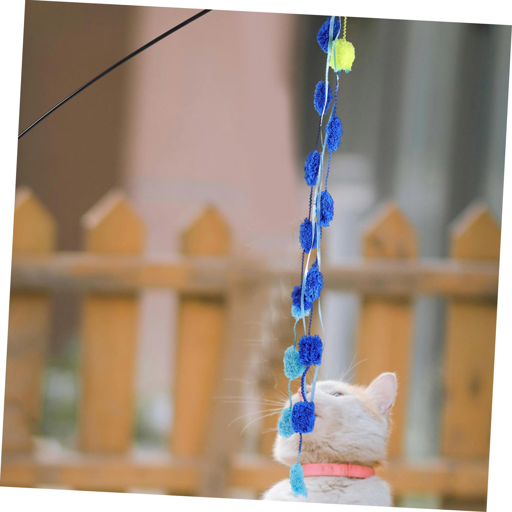 YARNOW 15 Pièces Chat taquin Interactive Cat Toy Fournitures de Chat on Jouets pour s interactifs Jouets interactifs pour s Jouet pour Plastique