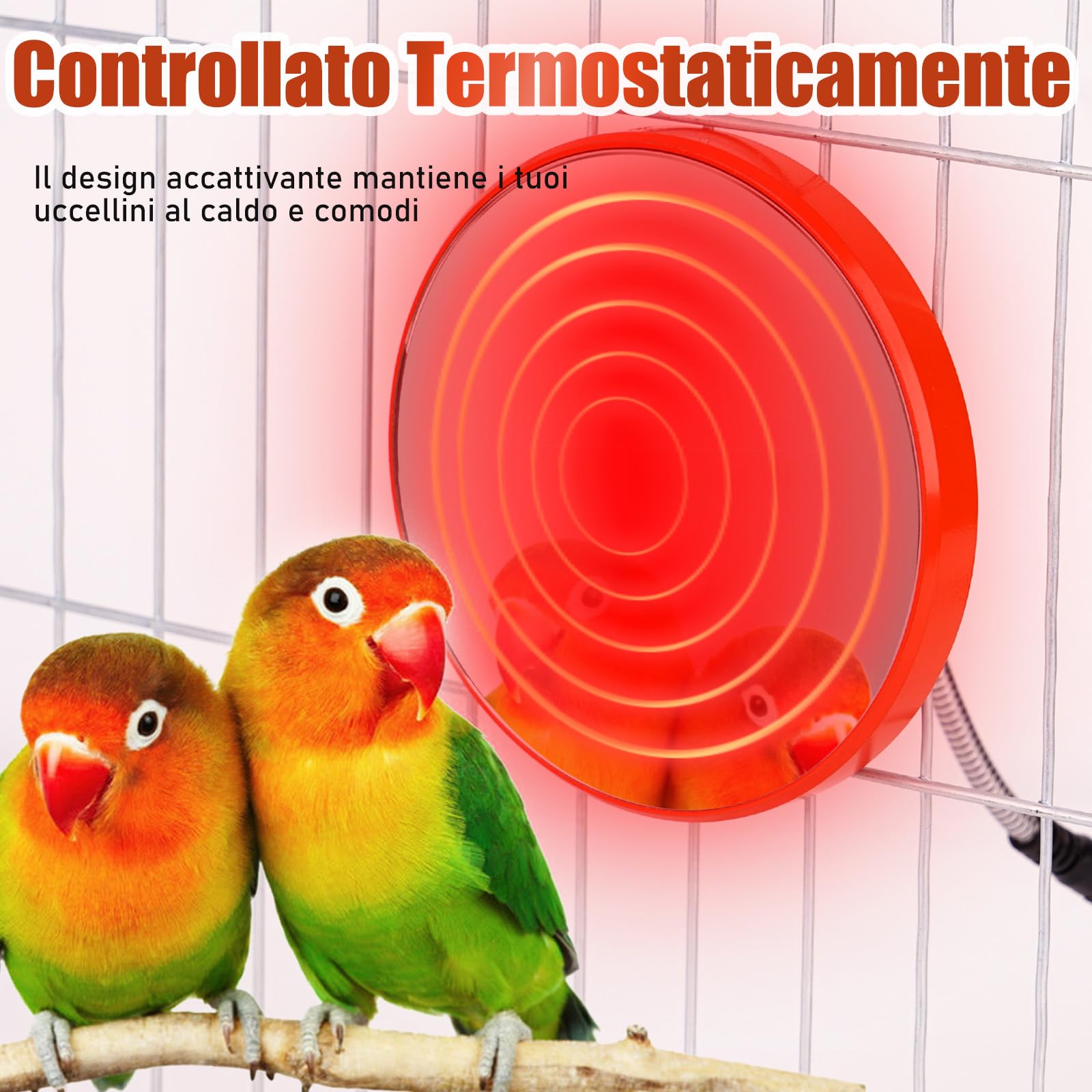 Riscaldata Per pappagallo, Protezione Cavo Antimorso, Piattaforme Appollaiamento Per Uccelli, Riscaldatore 18W