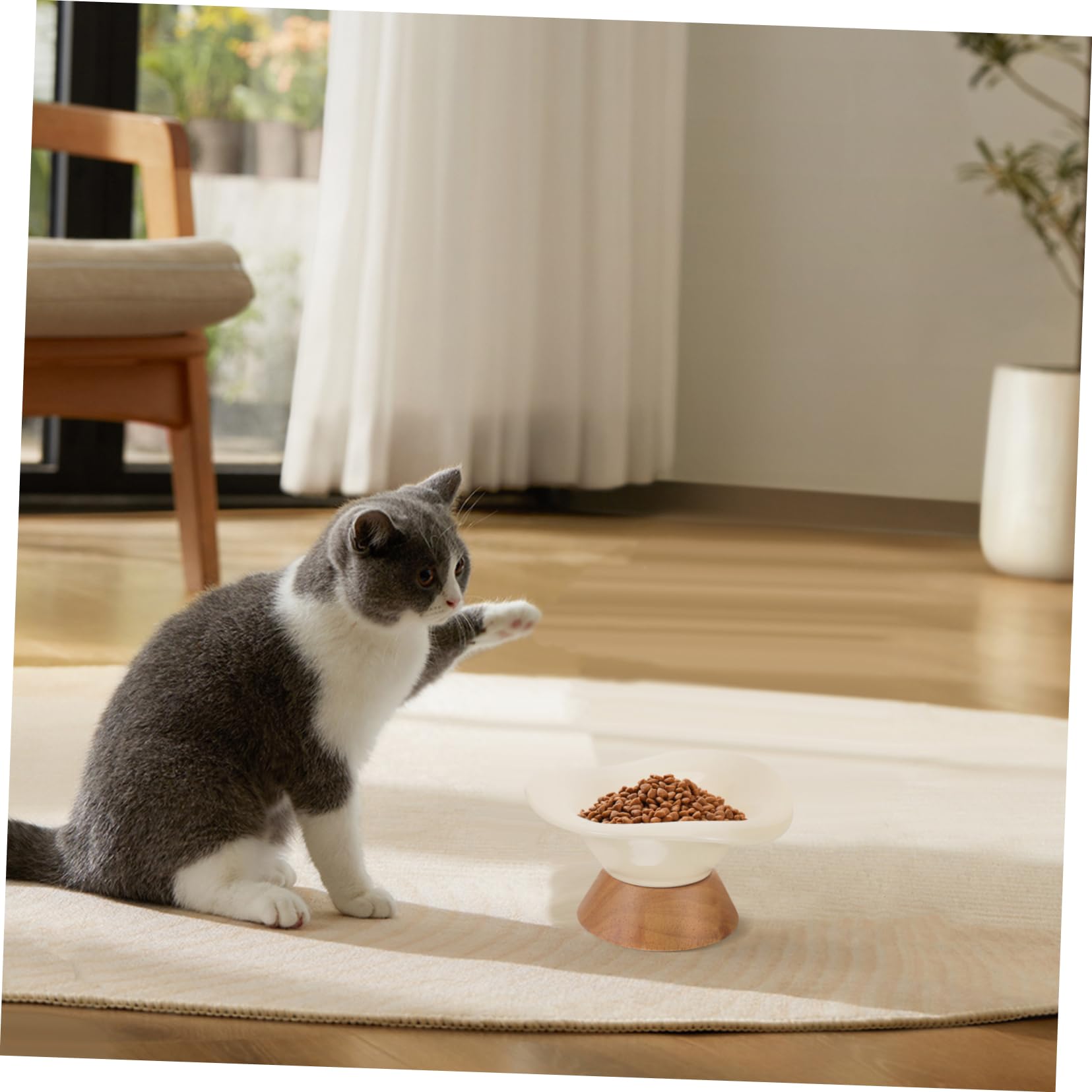 Ciotola per Gatti in Ceramica Piede, Grande Capacità Beige | Bordo Inclinato, Forma Rotonda, Finitura Liscia senza Bave, per Pappa e Acqua di Cani e Gatti
