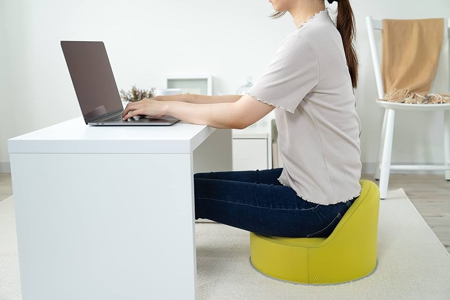 EXGEL(エクスジェル) / 加地 クッション 床プニ 座布団 Amazon.co.jp: EXGEL(エクスジェル) / 加地 クッション 床プニ