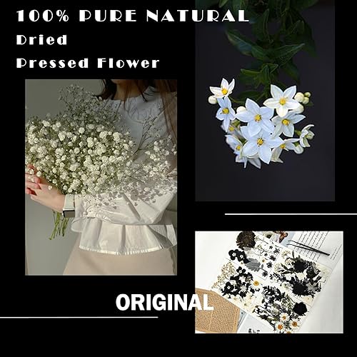 Miniatura 2 de 84 piezas de flores secas prensadas negras para moldes de resina, flores secas naturales a granel para manualidades artísticas DIY, joyería