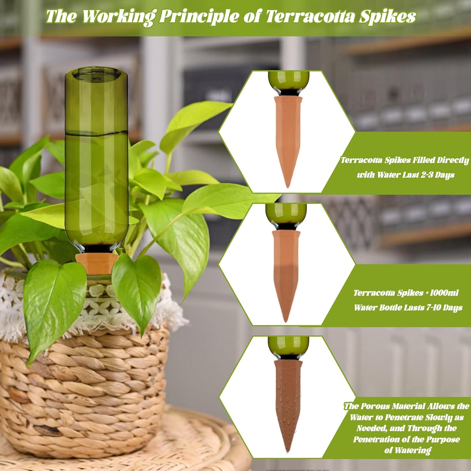 TINSKY 6 Sets Plant Watering Devices Terracotta Self Watering Spikes and 26 Oz Plastic Green Bottles Slow Release Vacation Plant Waterer Automatic Planter Insert for Indoor Outdoor Plants