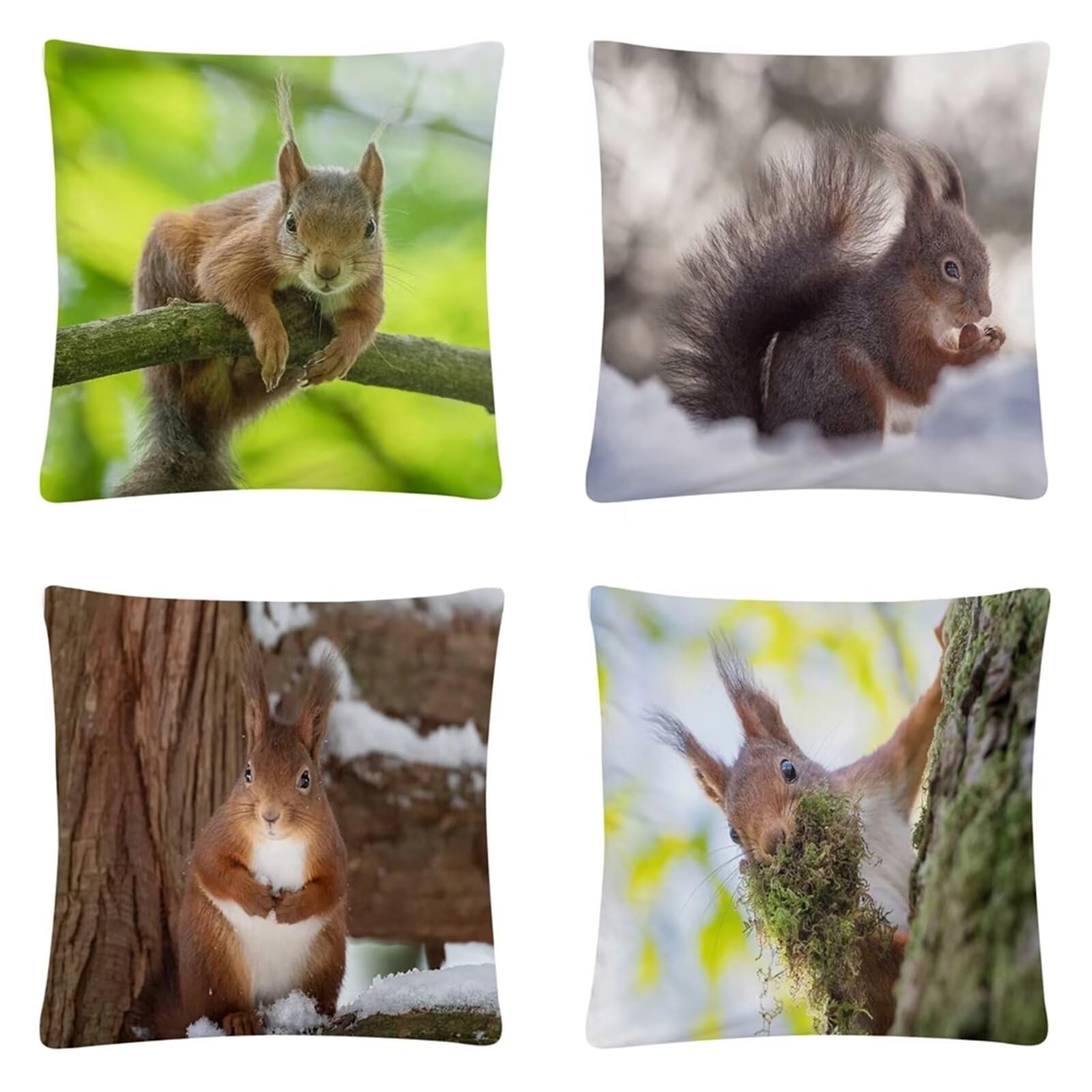 Juego de 4 Impermeable Funda de Cojín Ardilla encantadora,65x65cm Moderno Suave Transpirables Lino Fundas de Almohada Cojines Decorativos con Cremallera Oculta para Exterior Sofá Cama Coche Hogar