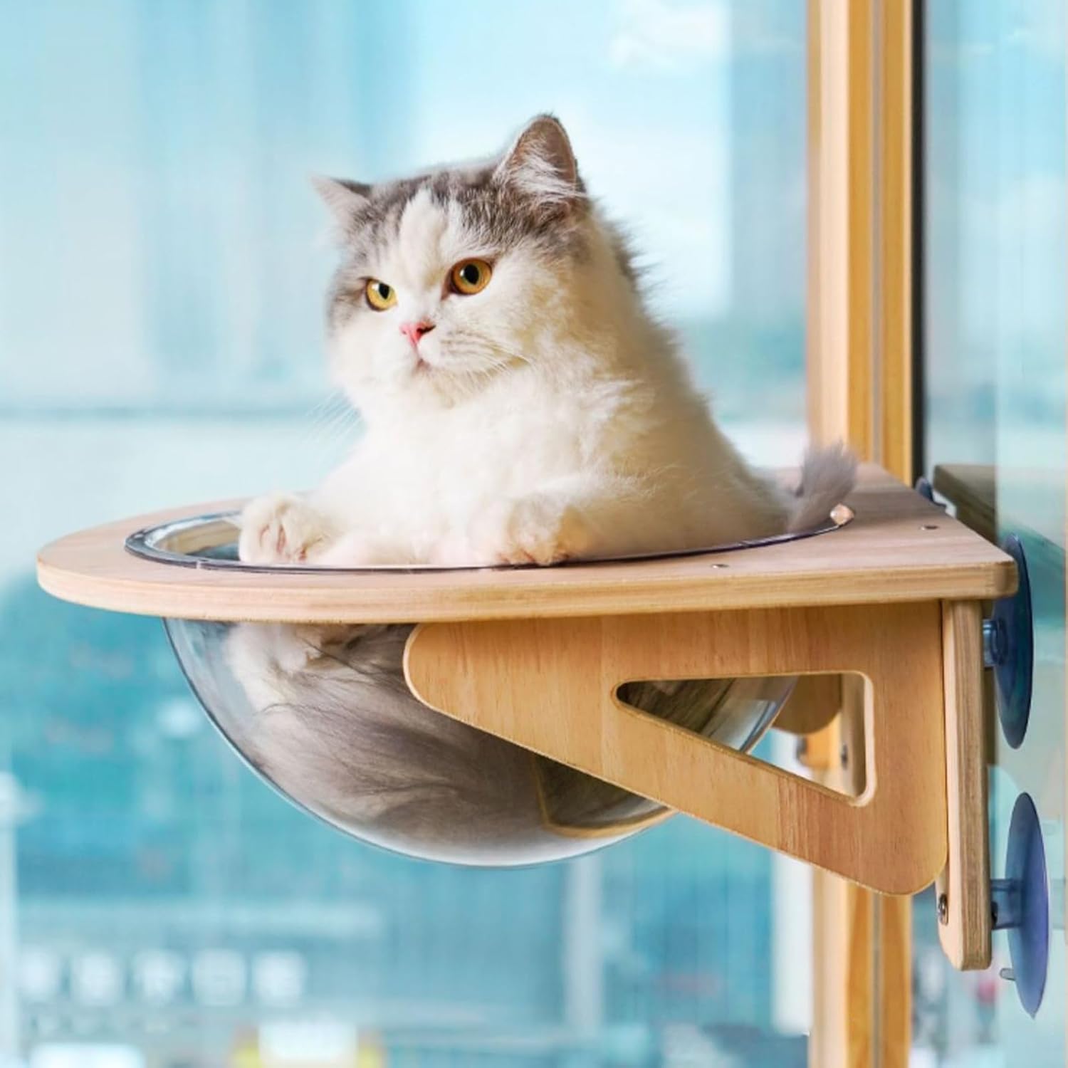 Wall Mounted Cat Furniture | Clear Bubble Suction Cup Window Cave - Cat Window Perch - for Workplace Kitchen Living Room Home Indoor Apartment Corner