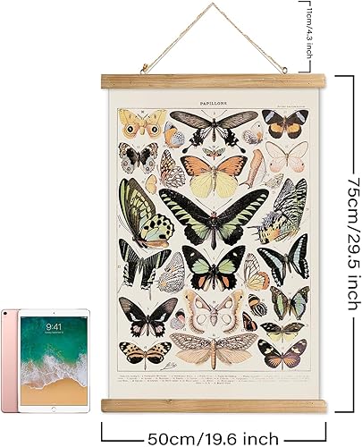 Miniatura 287 de XIAOAIKA Póster de botánica vintage con marco de madera, tabla de plantas venenosas antiguas, arte educativo botánico con especies peligrosas, 1