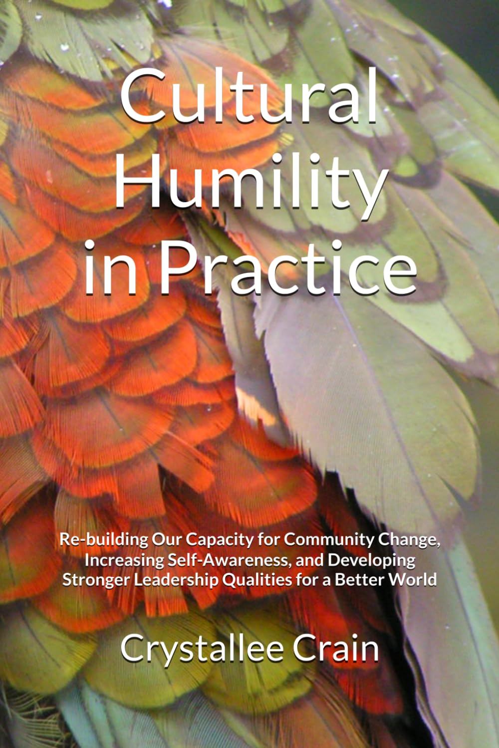 Cultural Humility in Practice: Workbook: Re-building Our Capacity for Community Change, Increasing Self-Awareness, and Developing Stronger Leadership Qualities for a Better World