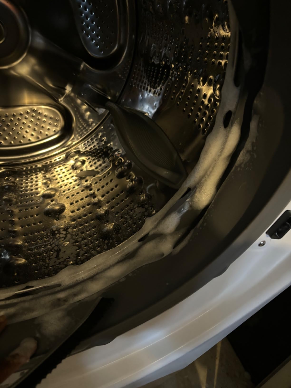 Used to clean my washing machines mold