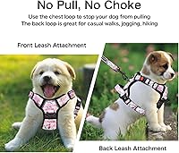 Vista 44 de Petmolico - Juego de arnés para perro sin tirones, 2 correas de sujeción con asa de fácil control, chaleco reflectante para razas pequeñas, arnés