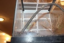 Review Image by Anthony Schilling Anthony Schilling