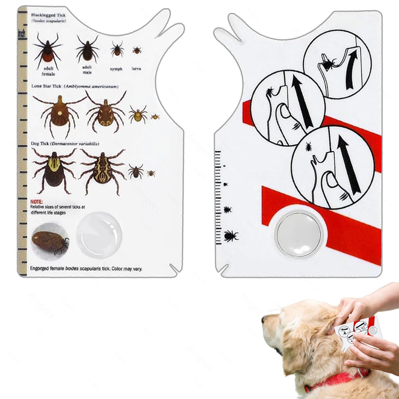Avigers 3 tarjetas de garrapatas con lupa para humanos, niños, perros y gatos, tarjeta de garrapatas para personas al aire libre, camping y mascotas, tarjeta de tick para eliminar suavemente las
