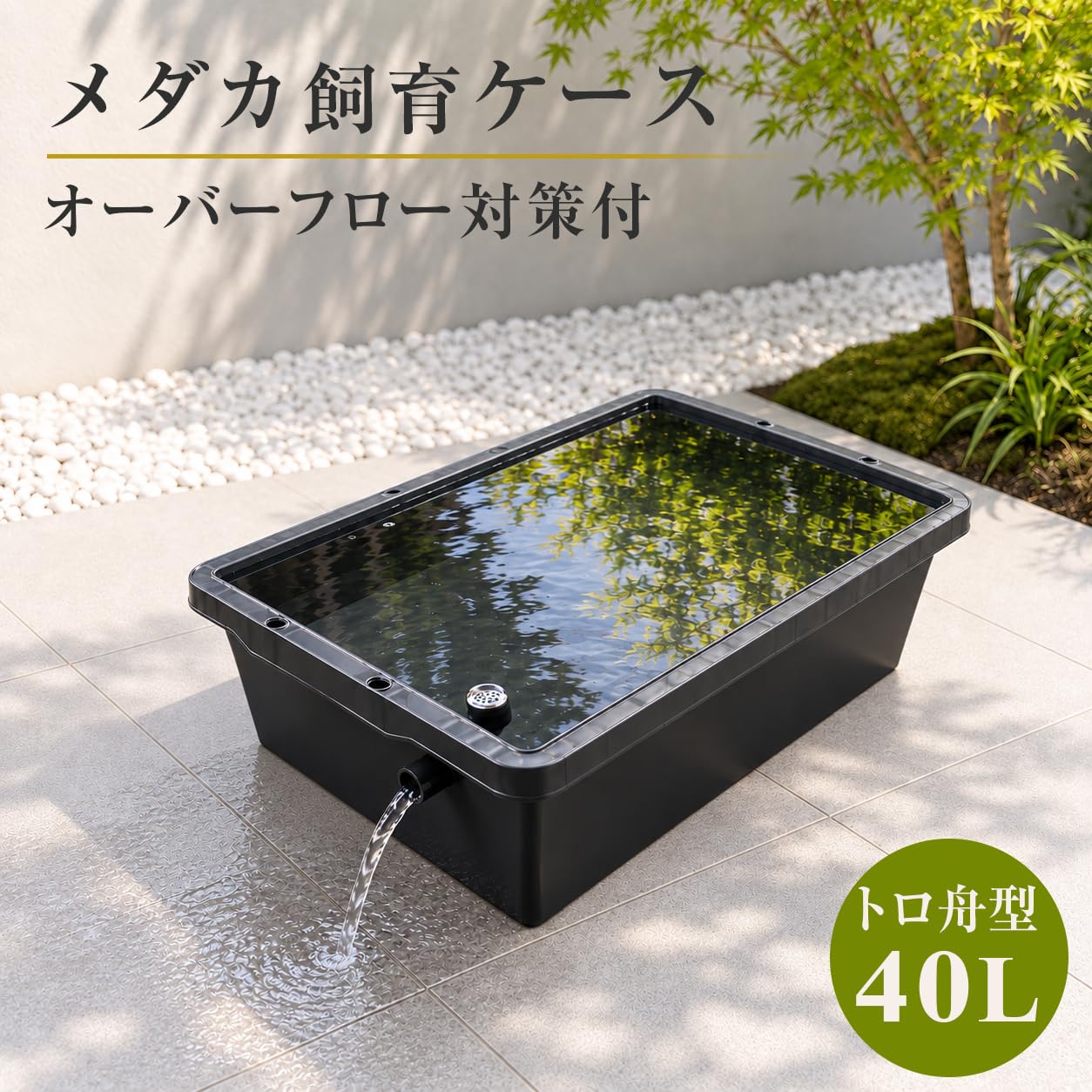 Amazon | 五色アクア メダカ飼育ケース 40リットル 黒 オーバーフロー