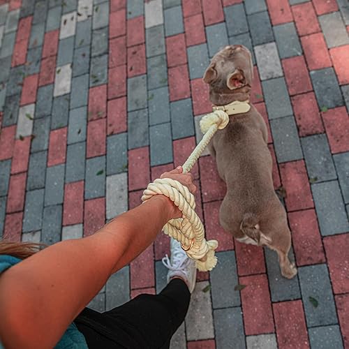 Miniatura 19 de Premium Cotton Rope Leash for Medium & Large Dogs – 5 ft Handcrafted, Strong, Stylish & Durable with 360° Swivel Heavy-Duty Clip – Perfect for