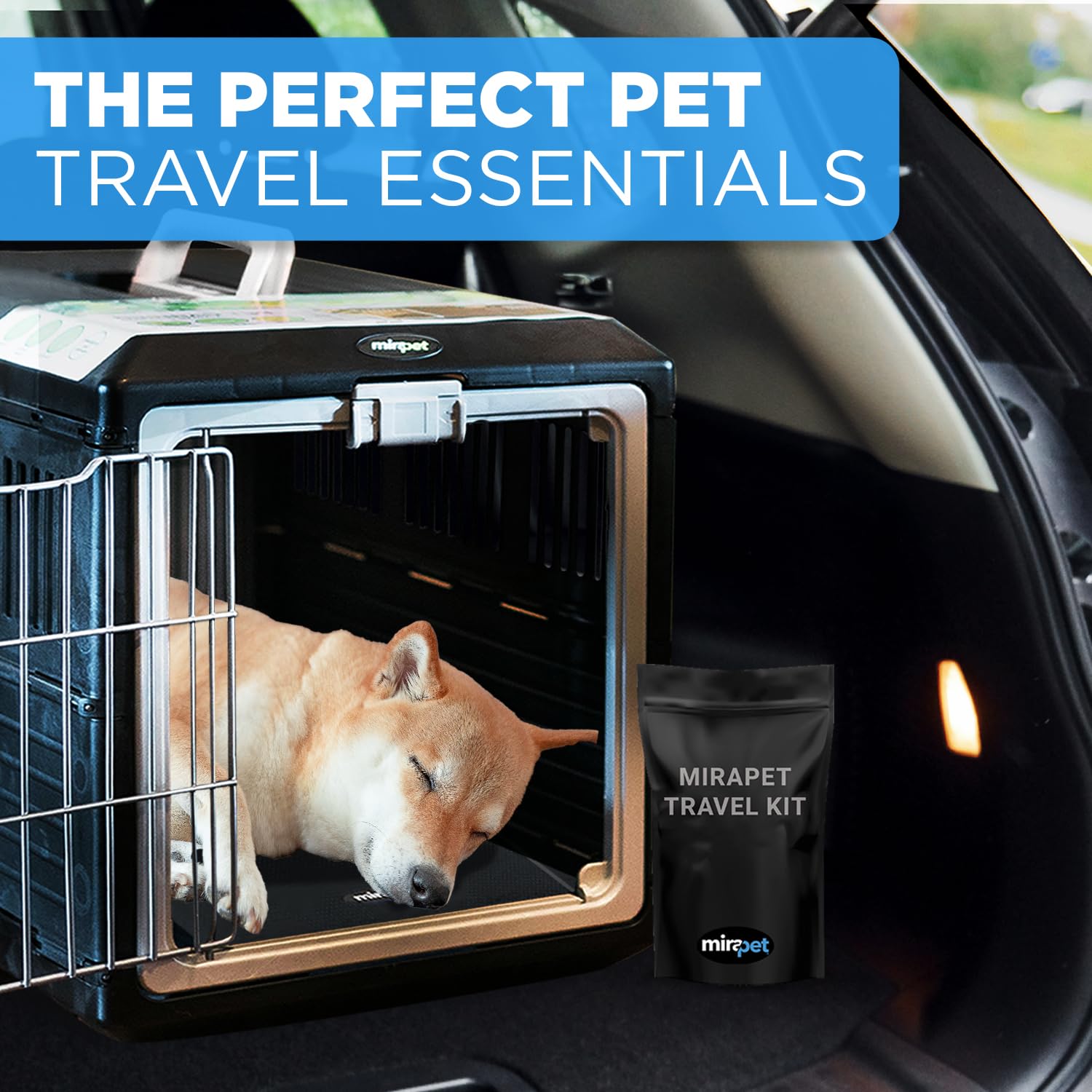 Best dog crate for air travel | Travelbayz.com