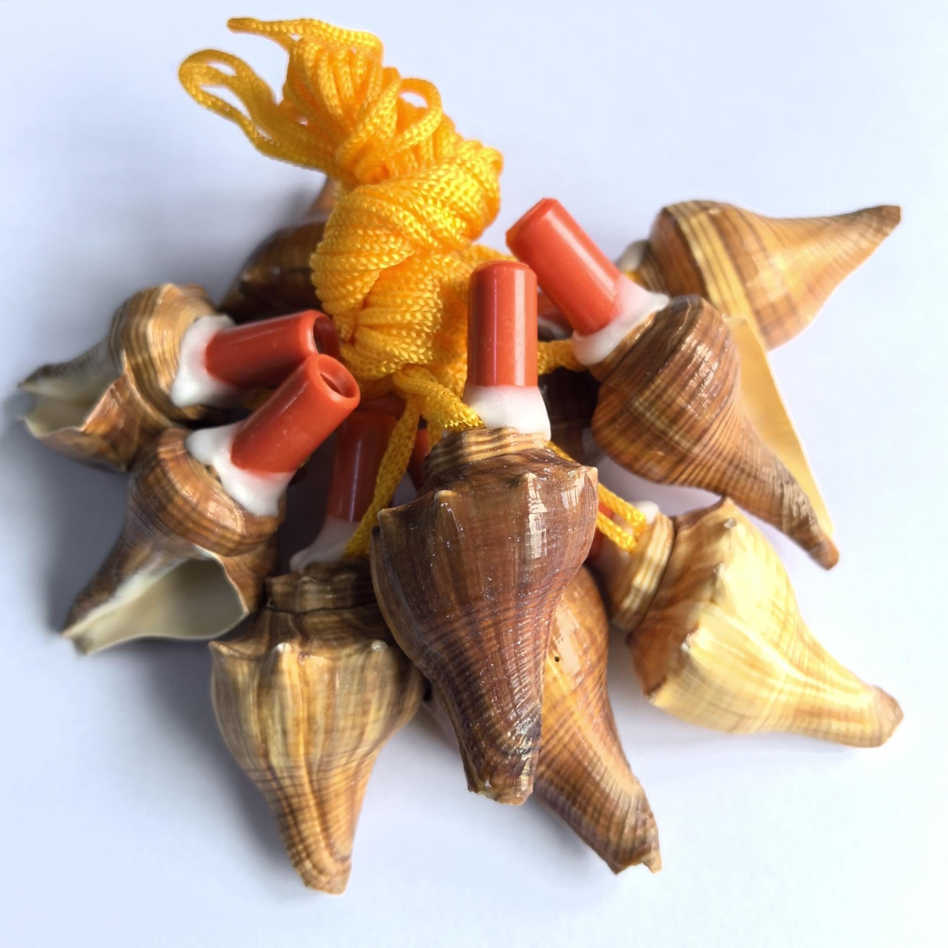 Amazon.co.jp: 10個 貝笛 面白い笛 子供の誕生日パーティーの好意