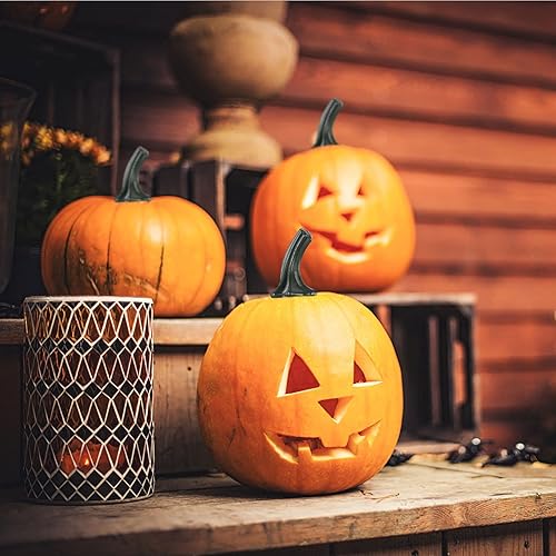 Miniatura 8 de NUOBESTY 24 tallos de calabaza falsos para bricolaje, suministros de calabaza de Halloween, adorno de linterna Jack o Lantern, herramienta para